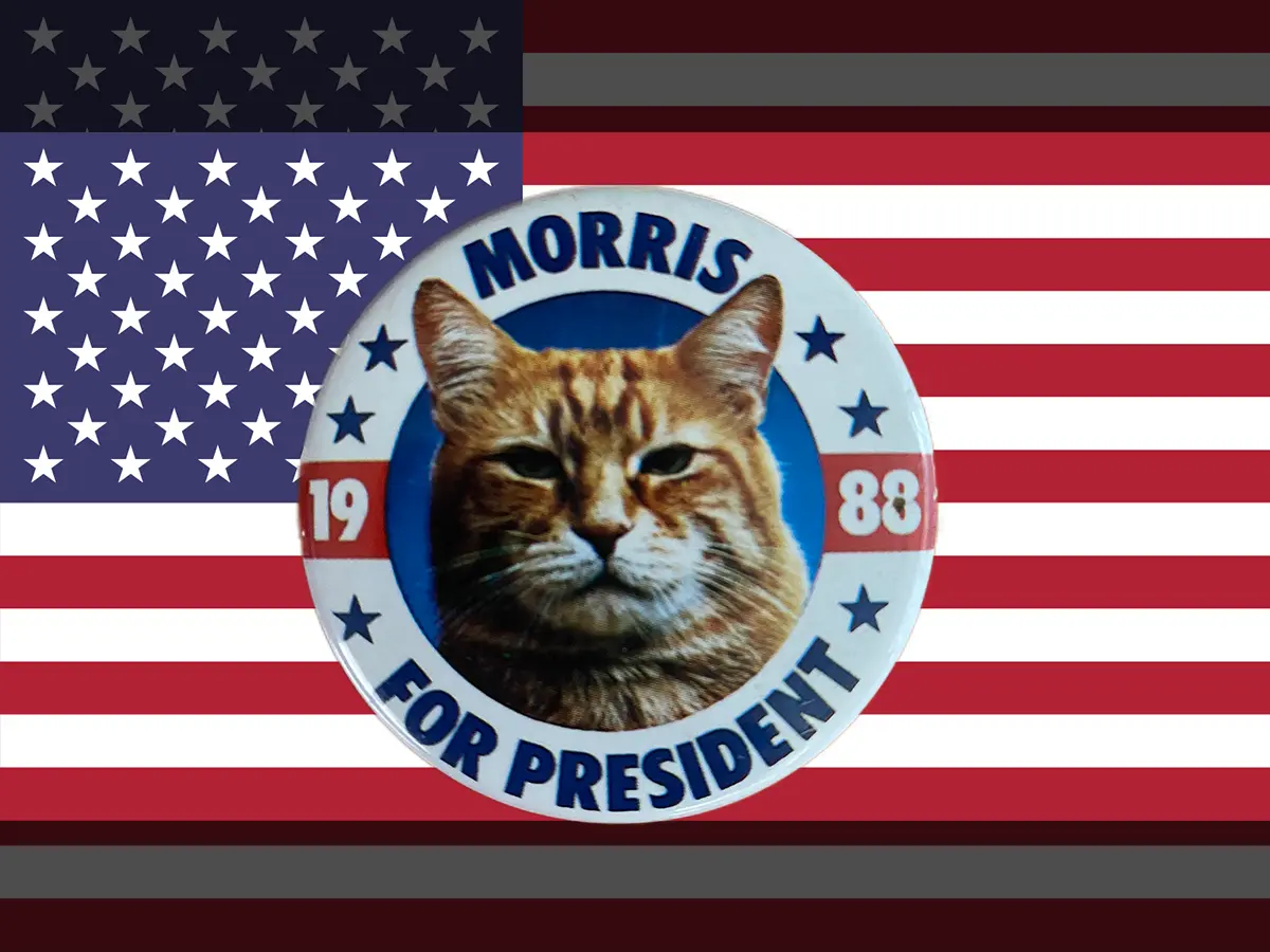 アメリカ大統領選挙に出馬したネコ、モリス